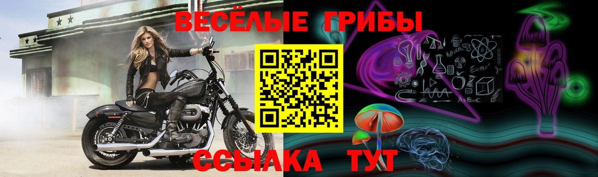 Псилоцибиновые грибы Psilocybe  Вход с VPN  Белореченск 